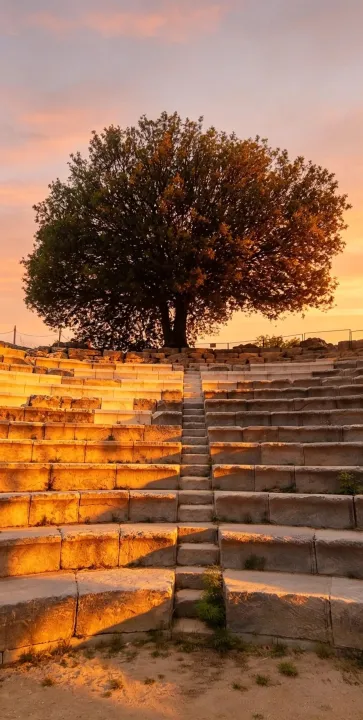 Anın Fotoğrafı