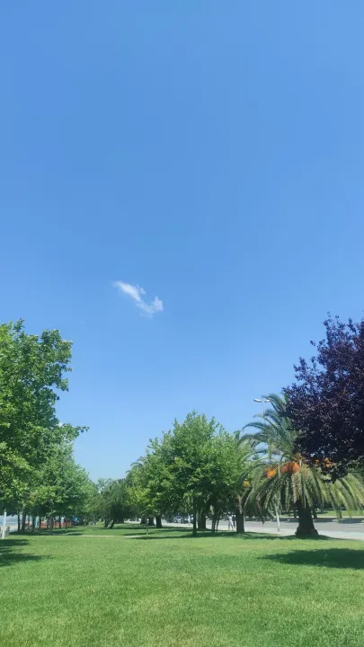 Anın Fotoğrafı