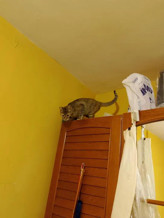 Anın Fotoğrafı