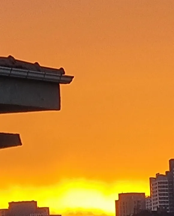 Anın Fotoğrafı