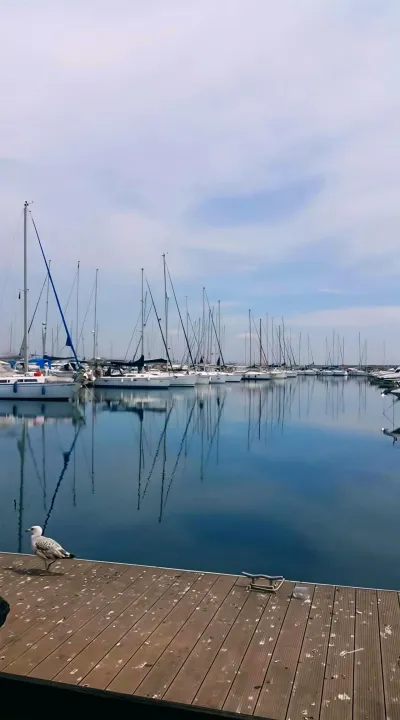 Anın Fotoğrafı
