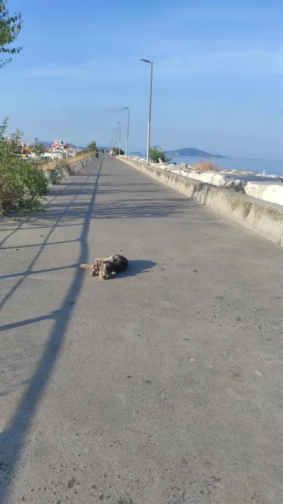Çoklu paylaşım