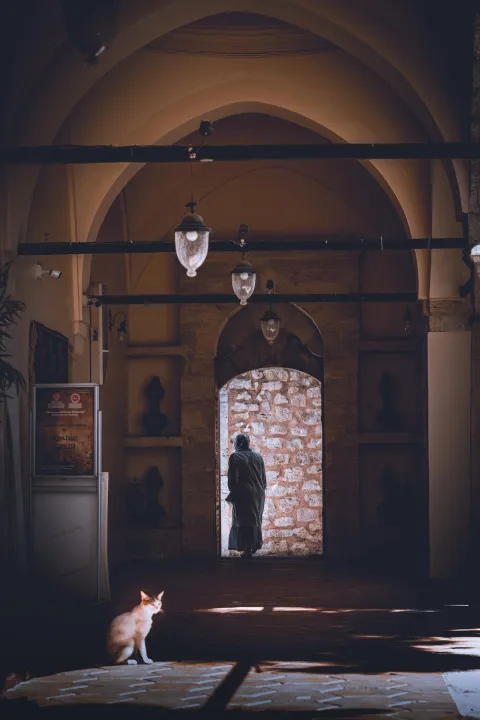 Anın Fotoğrafı