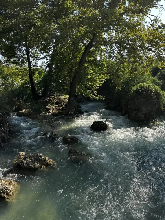 Anın Fotoğrafı