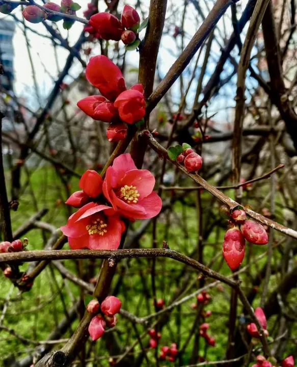 Anın Fotoğrafı