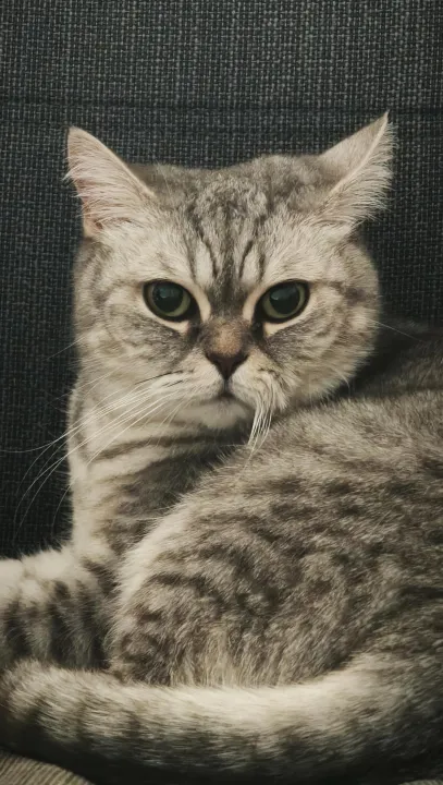 Anın Fotoğrafı