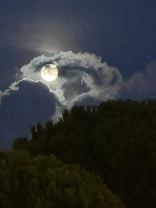 Anın Fotoğrafı