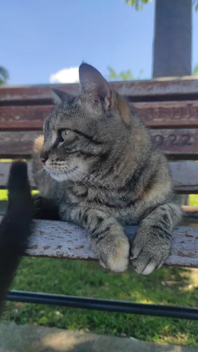 Anın Fotoğrafı