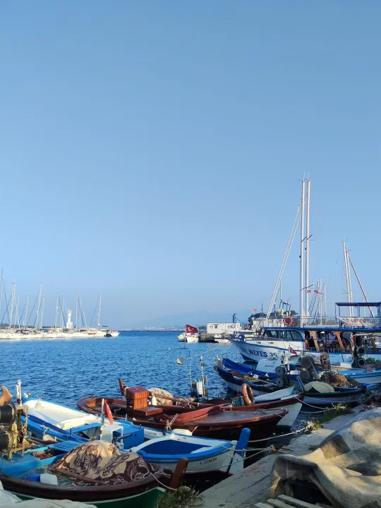 Anın Fotoğrafı