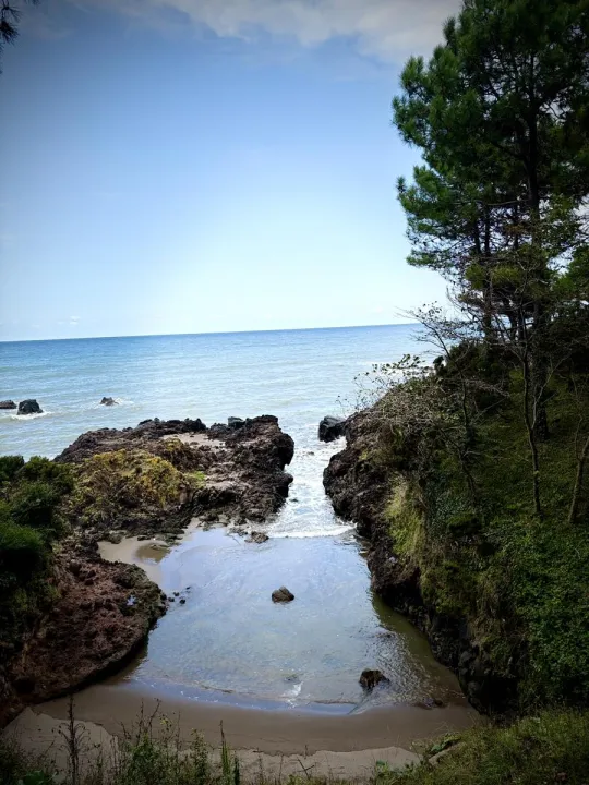 Anın Fotoğrafı