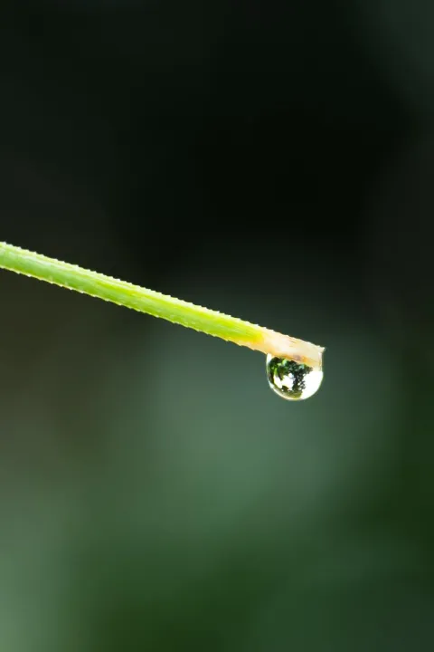 Anın Fotoğrafı