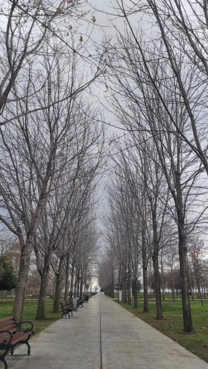 Anın Fotoğrafı