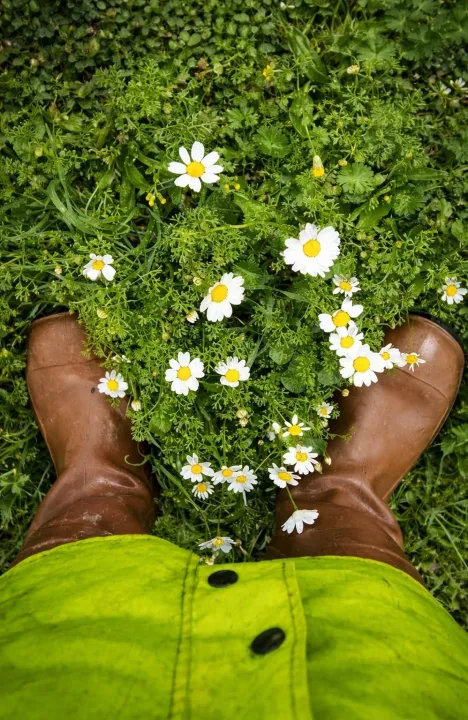 Anın Fotoğrafı