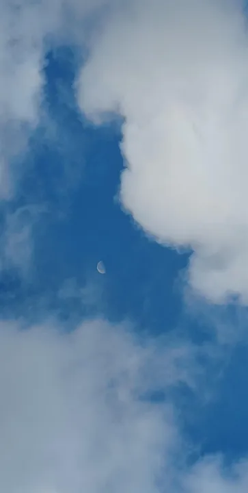 Anın Fotoğrafı