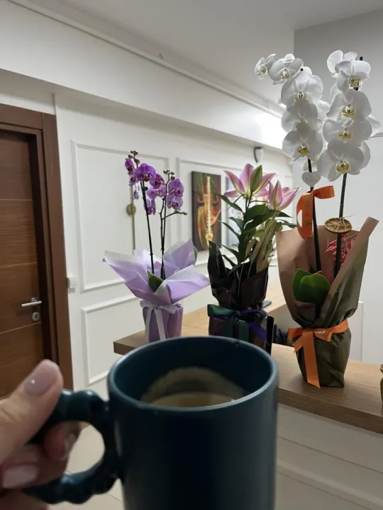 Anın Fotoğrafı