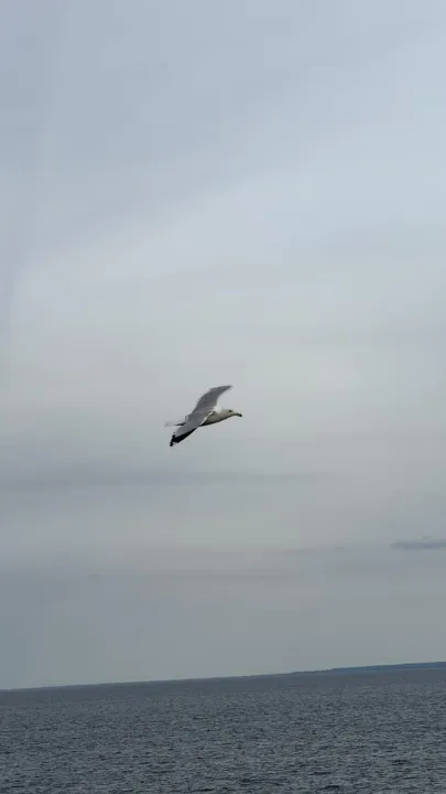 Anın Fotoğrafı