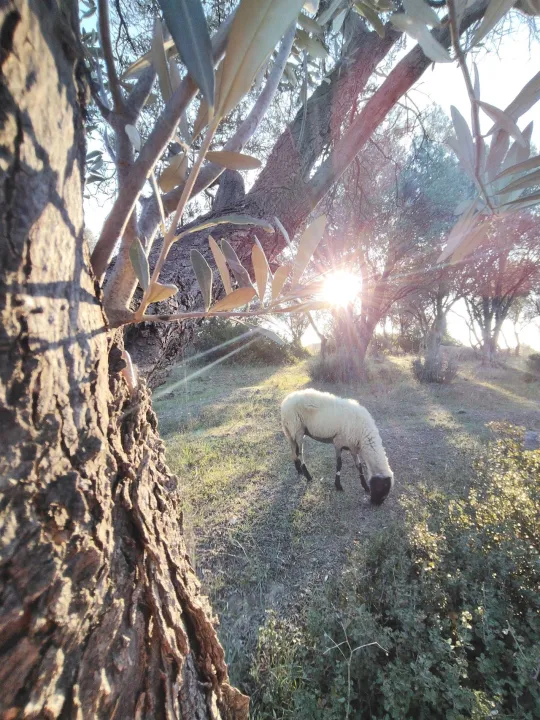 Anın Fotoğrafı