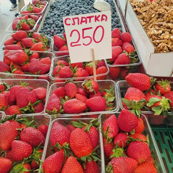 Anın Fotoğrafı