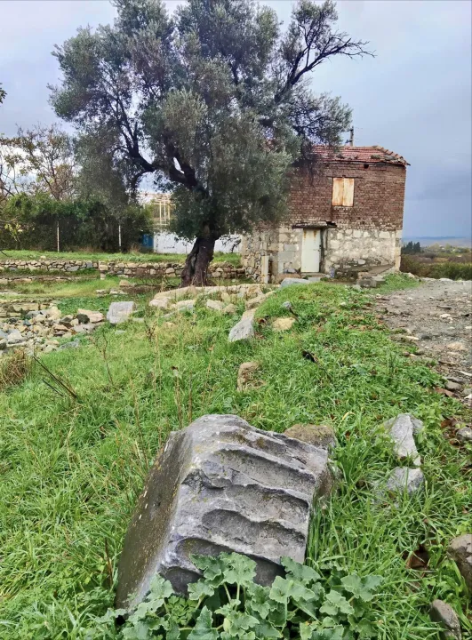 Anın Fotoğrafı