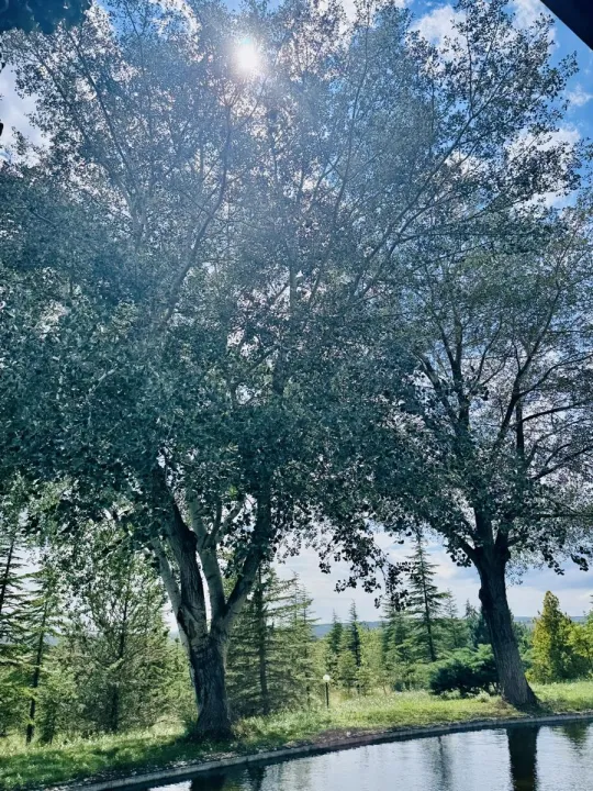 Anın Fotoğrafı