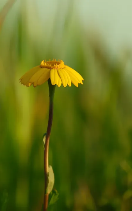 Anın Fotoğrafı