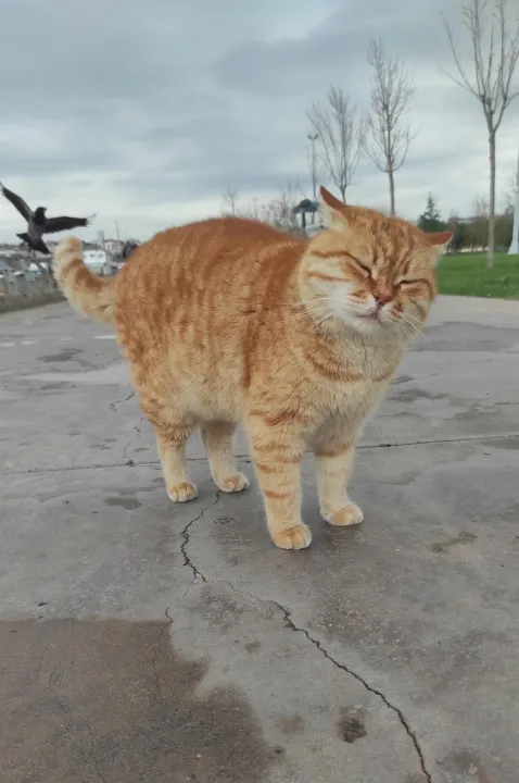 Anın Fotoğrafı