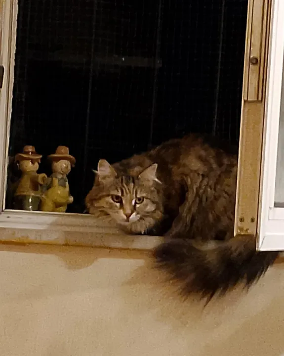 Anın Fotoğrafı