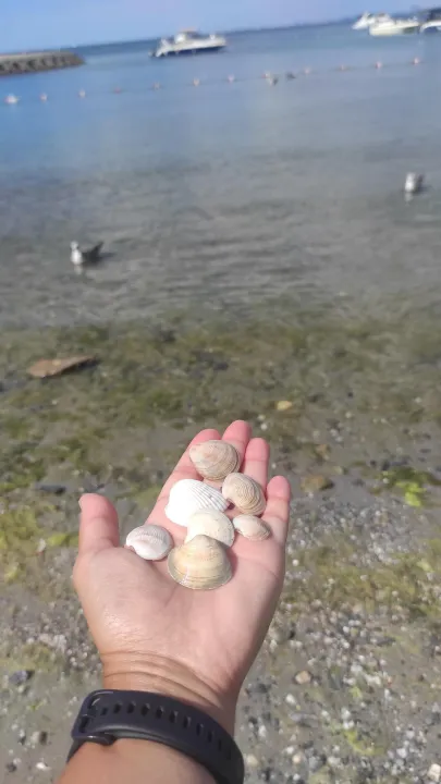Anın Fotoğrafı