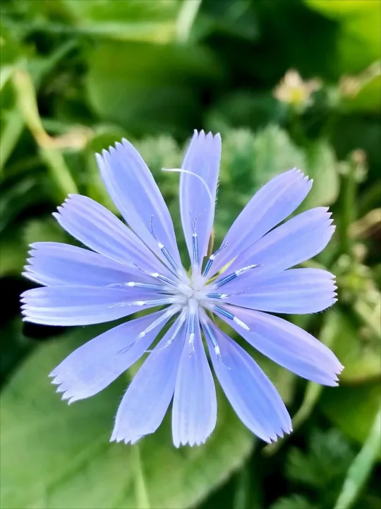 Anın Fotoğrafı