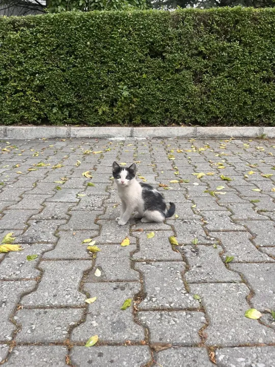 Anın Fotoğrafı