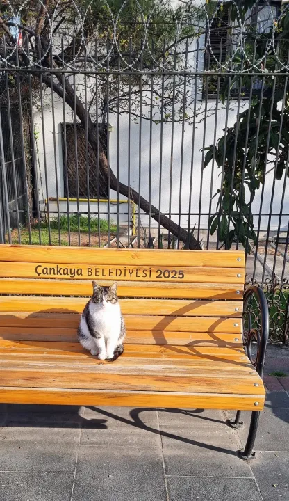 Anın Fotoğrafı