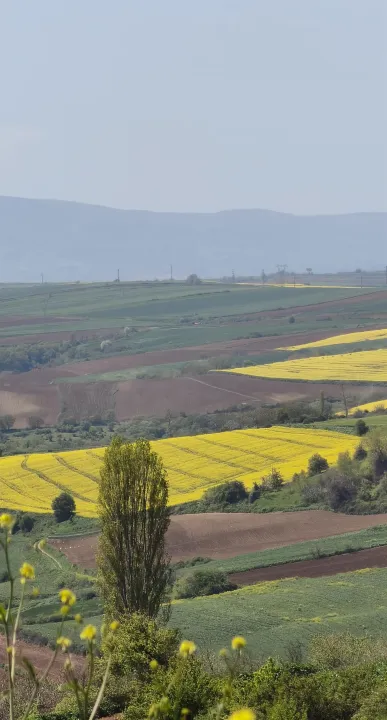 Anın Fotoğrafı
