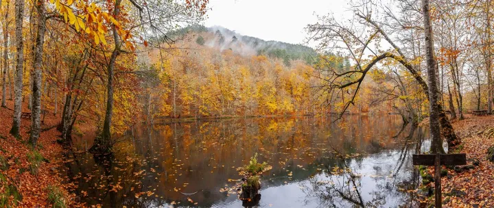 Anın Fotoğrafı