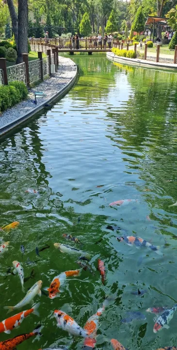 Anın Fotoğrafı