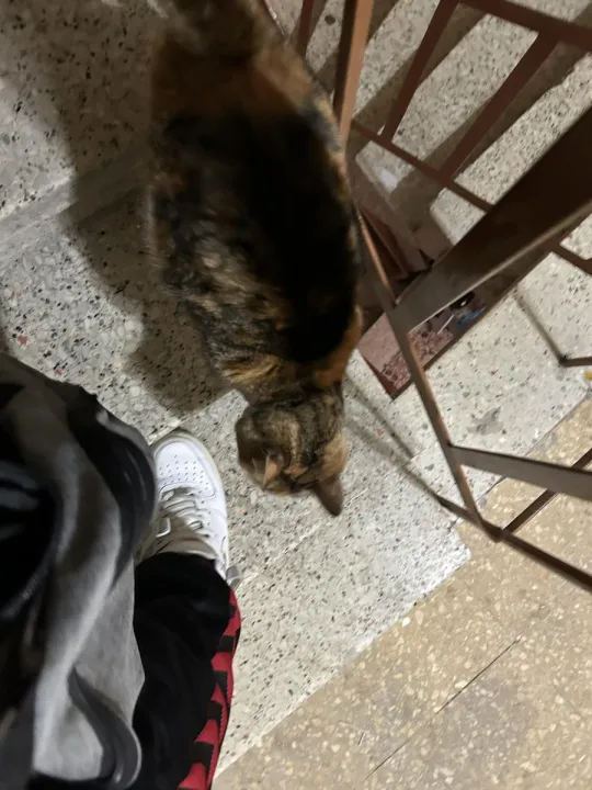 Anın Fotoğrafı