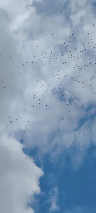 Anın Fotoğrafı
