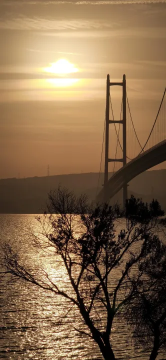 Anın Fotoğrafı