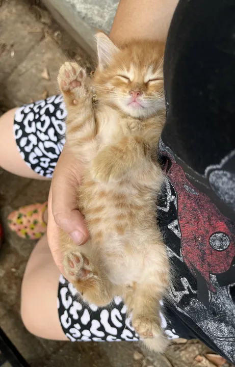 Anın Fotoğrafı