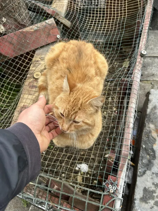 Anın Fotoğrafı