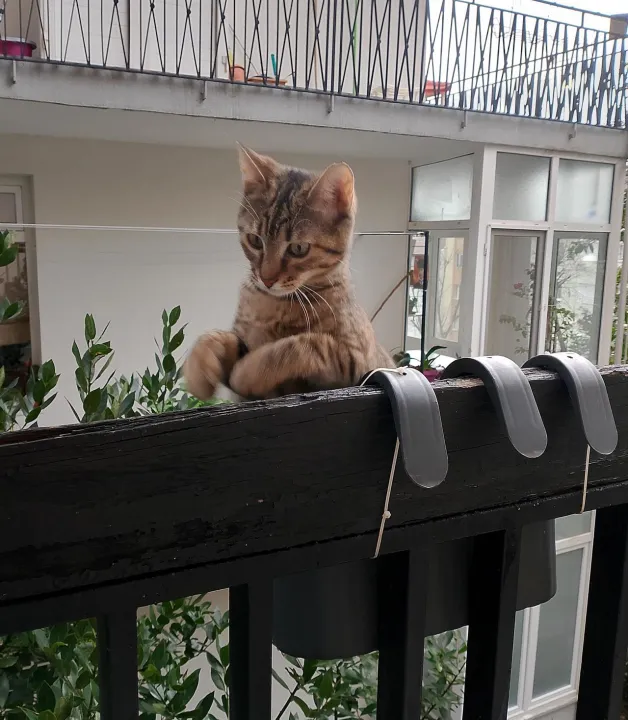 Anın Fotoğrafı