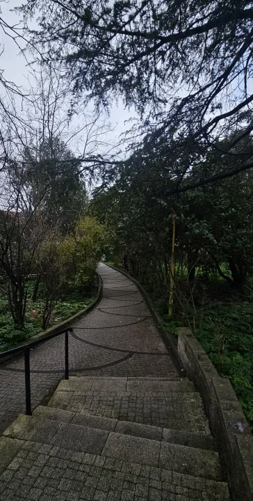 Anın Fotoğrafı