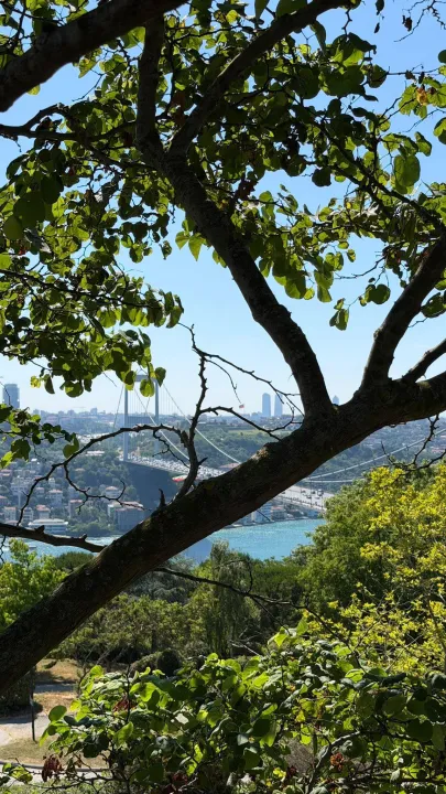 Anın Fotoğrafı