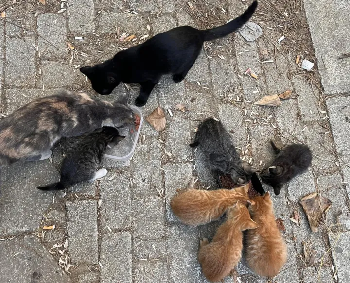 Anın Fotoğrafı