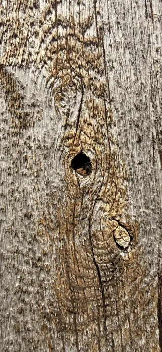 Anın Fotoğrafı