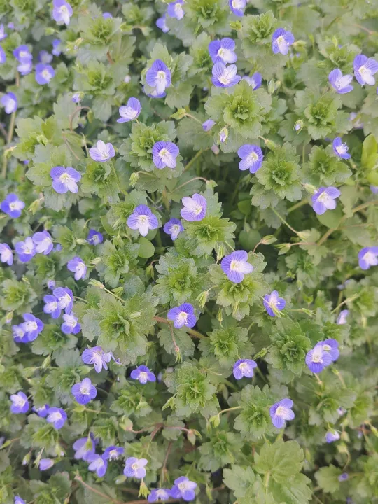 Anın Fotoğrafı