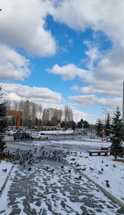 Anın Fotoğrafı
