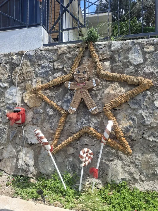 Anın Fotoğrafı