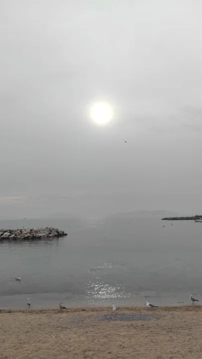 Anın Fotoğrafı