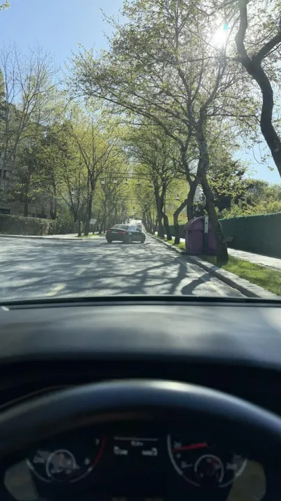 Anın Fotoğrafı