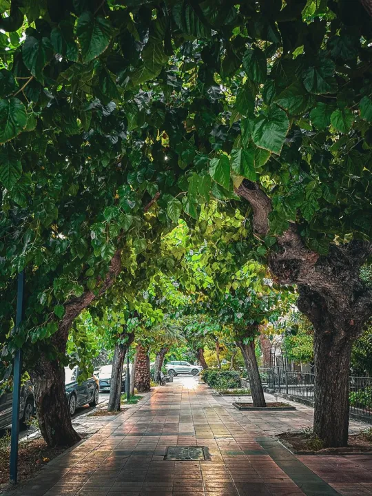 Anın Fotoğrafı